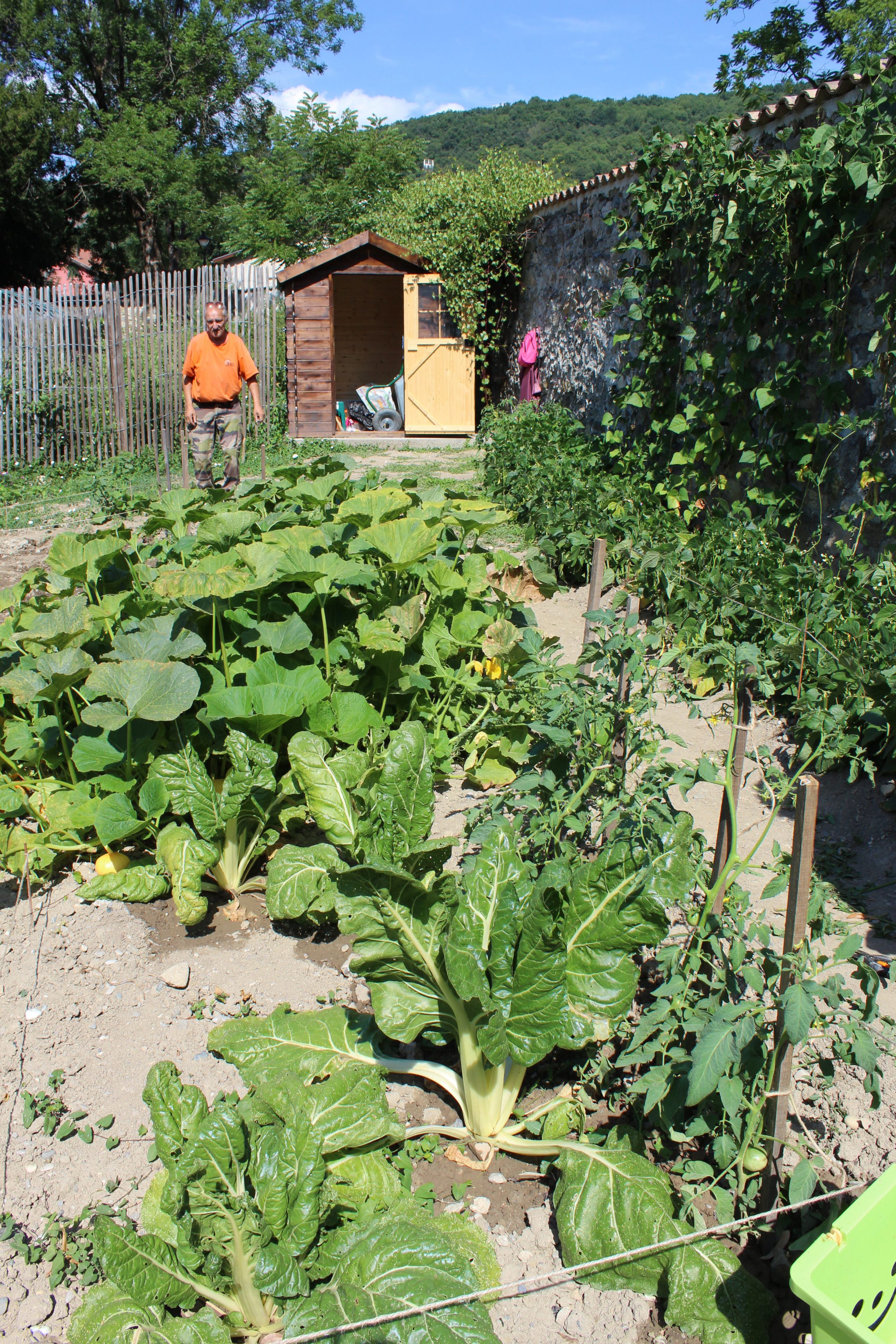 Un jardin potager à louer dans le parc du Clos Jouvin !