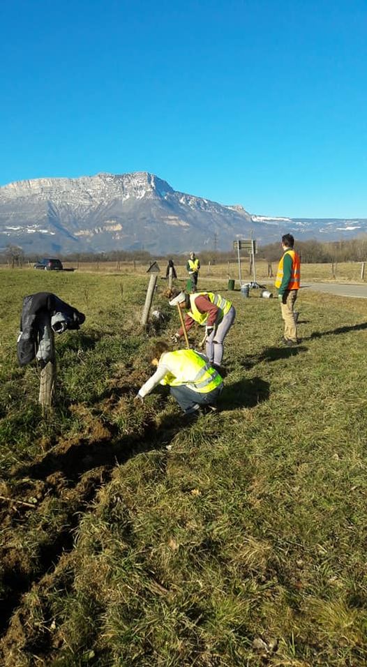 Recherche de bénévoles pour aider les crapauds à traverser la route du Plâtre