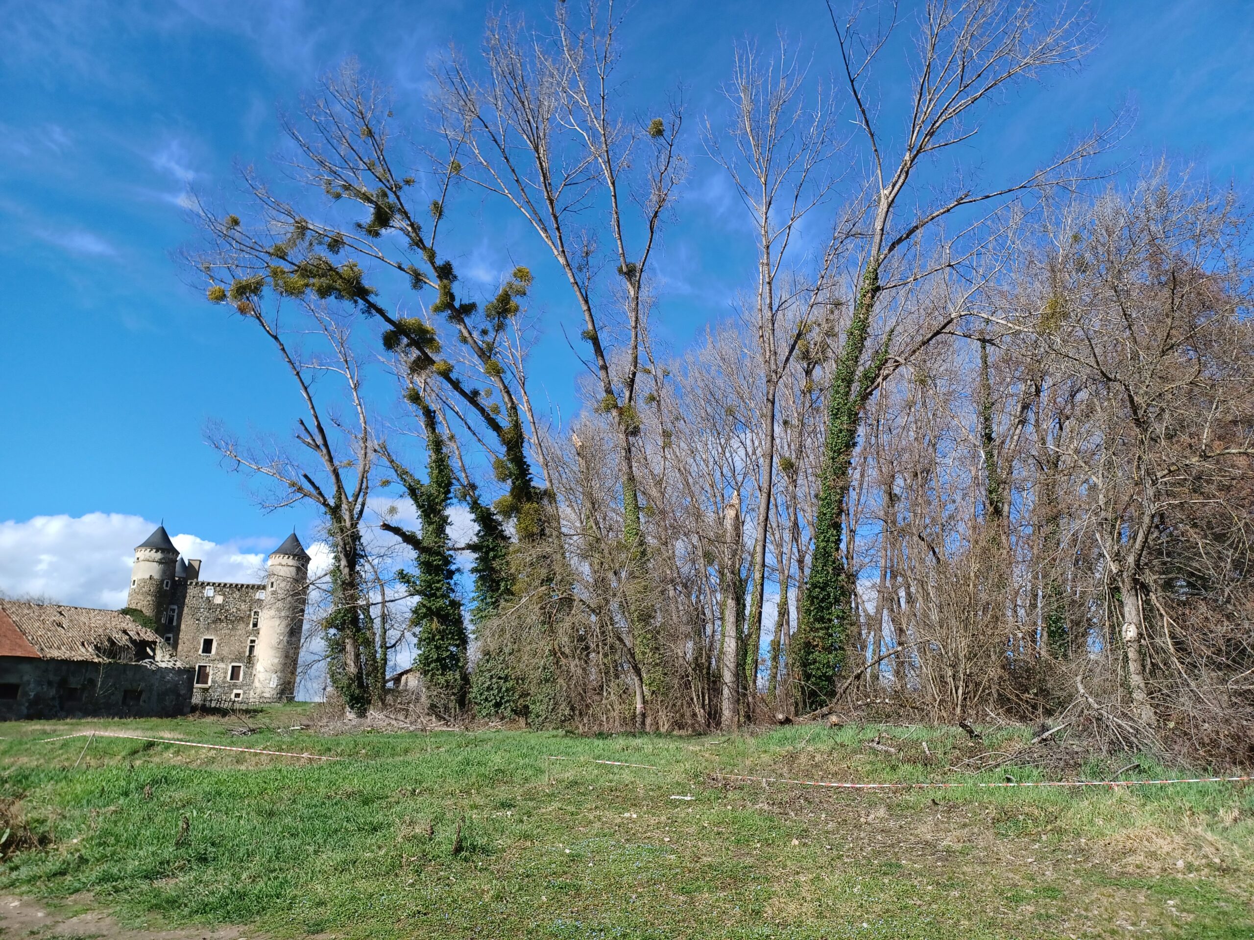 TRAVAUX DE BUCHERONNAGE | Petit bois Château de Bon Repos