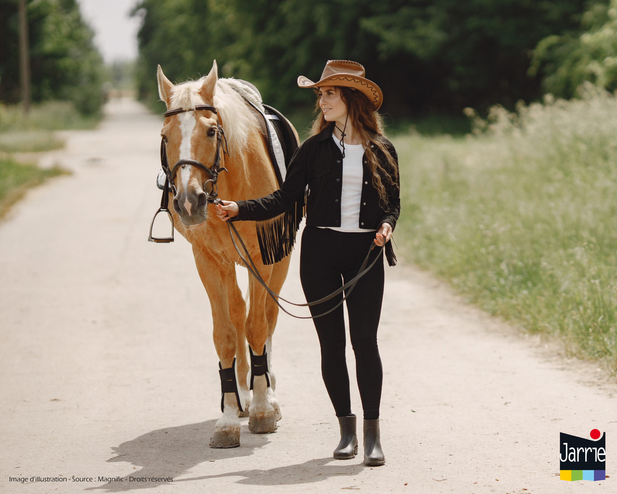 Rappel réglementaire concernant la circulation des chevaux 