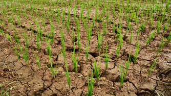 Dégradation de la situation de sécheresse en Isère